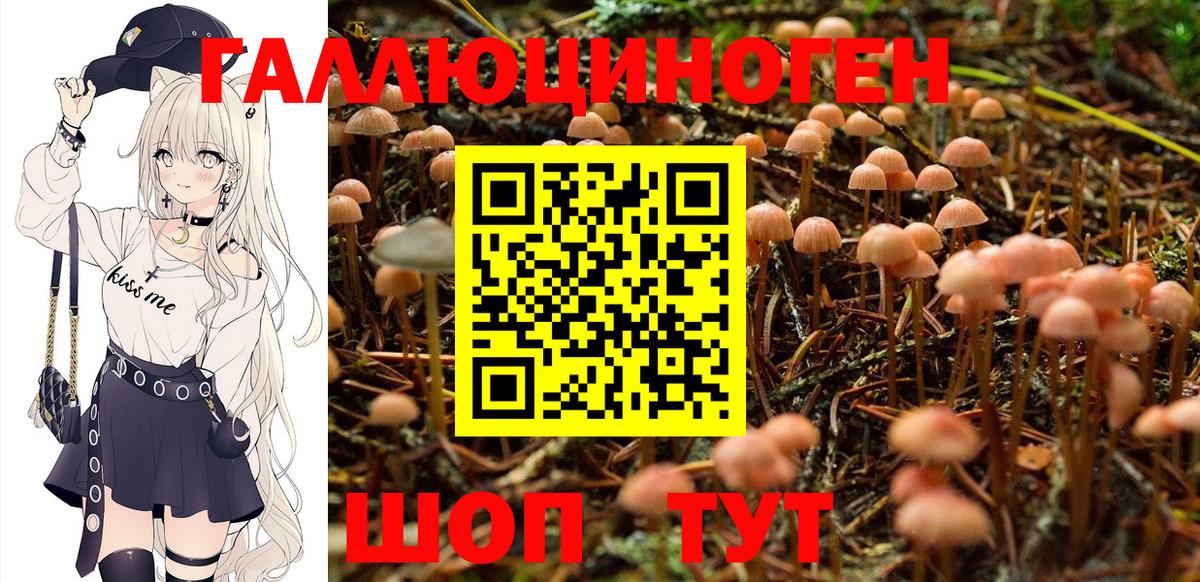 как найти наркотики  Галлюциногенные грибы Psilocybine cubensis  Вход с VPN  Балахна  Галлюциногенные грибы Psilocybe 